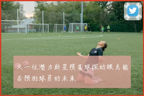 又一位潜力新星陨落球探的眼光能否预测球员的未来